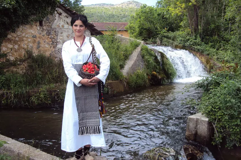 GradskaupravaisamoupravaVrgorac2