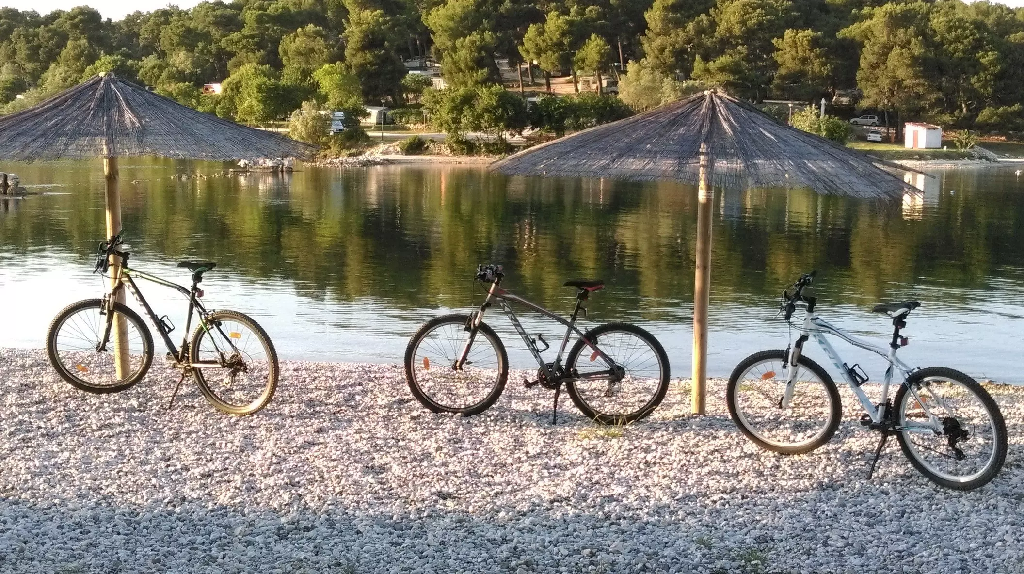 Great_offer_of_different_bicycles2