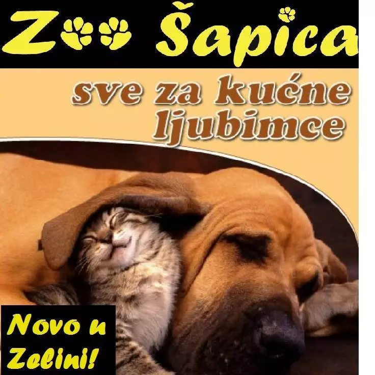 GrebaliceiuzicezakućneljubimceSv GrebaliceiuzicezakućneljubimceSv