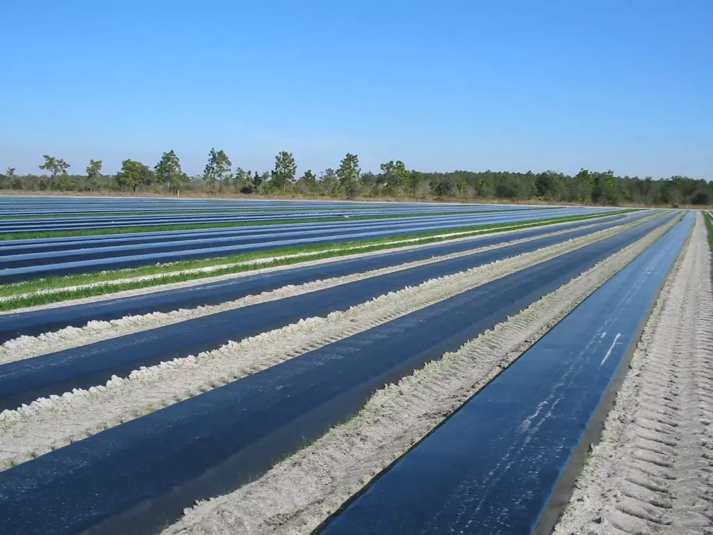 Hitplasteničkefolije Hitplasteničkefolije