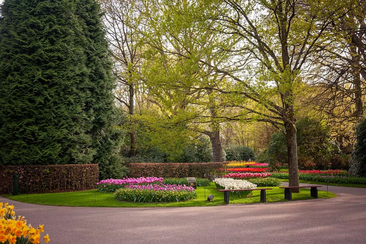 Dvorište Uređenje dvorišta i hortikultura u Zagrebu