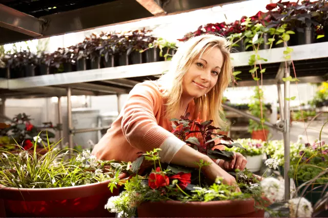 Hortikulturalniradoviteprojektiranjeinadzor,Dubrovnik3