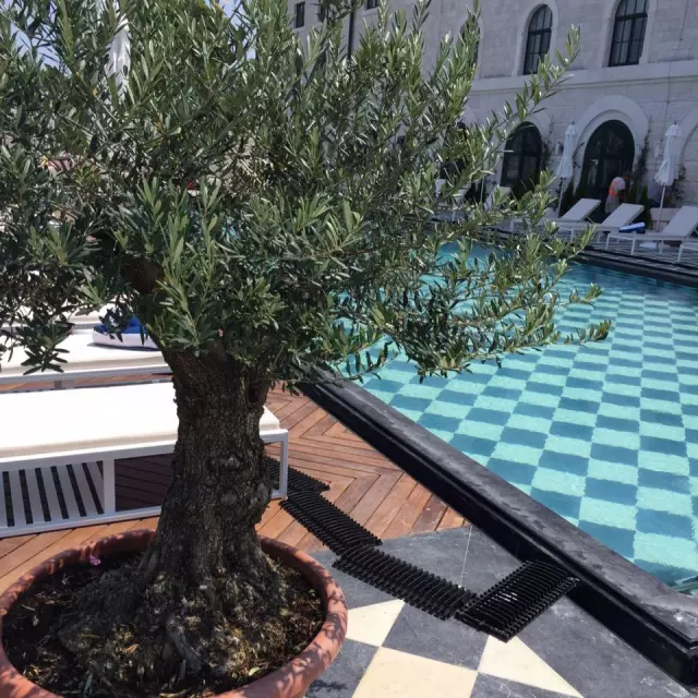 Hortikulturalnouređenje,ugradnjabazenaiodržavanjeokoliša,KaštelSućurac