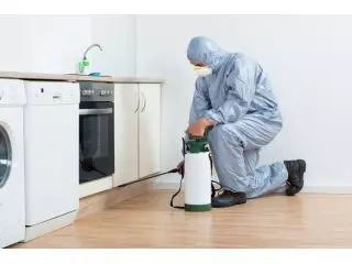 Humanaderatizacijauzuništavanjeglodavacaikorova,Zagreb8