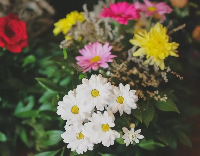 Internacionalni međunarodni pogrebni prijevoz u Prijedoru BiH