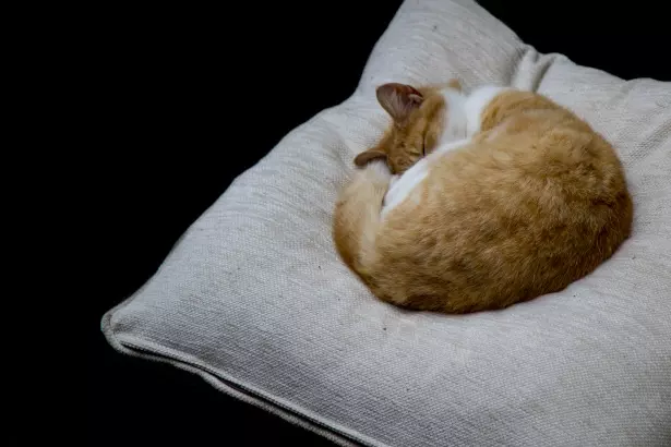 Javneovlasti,Ivanec1