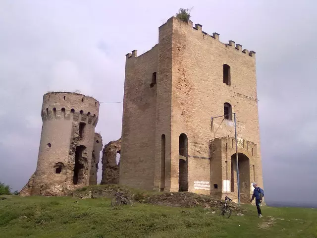 Jedinica lokalne samouprave, Dalj