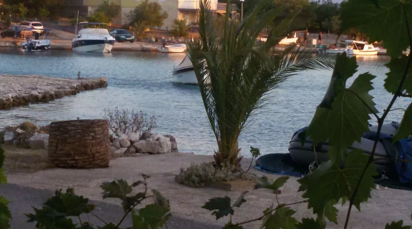 Jelasažara,ribljiimesnispecijaliteti-Konoba,Lovište2 Jelasažara,ribljiimesnispecijaliteti-Konoba,Lovište2