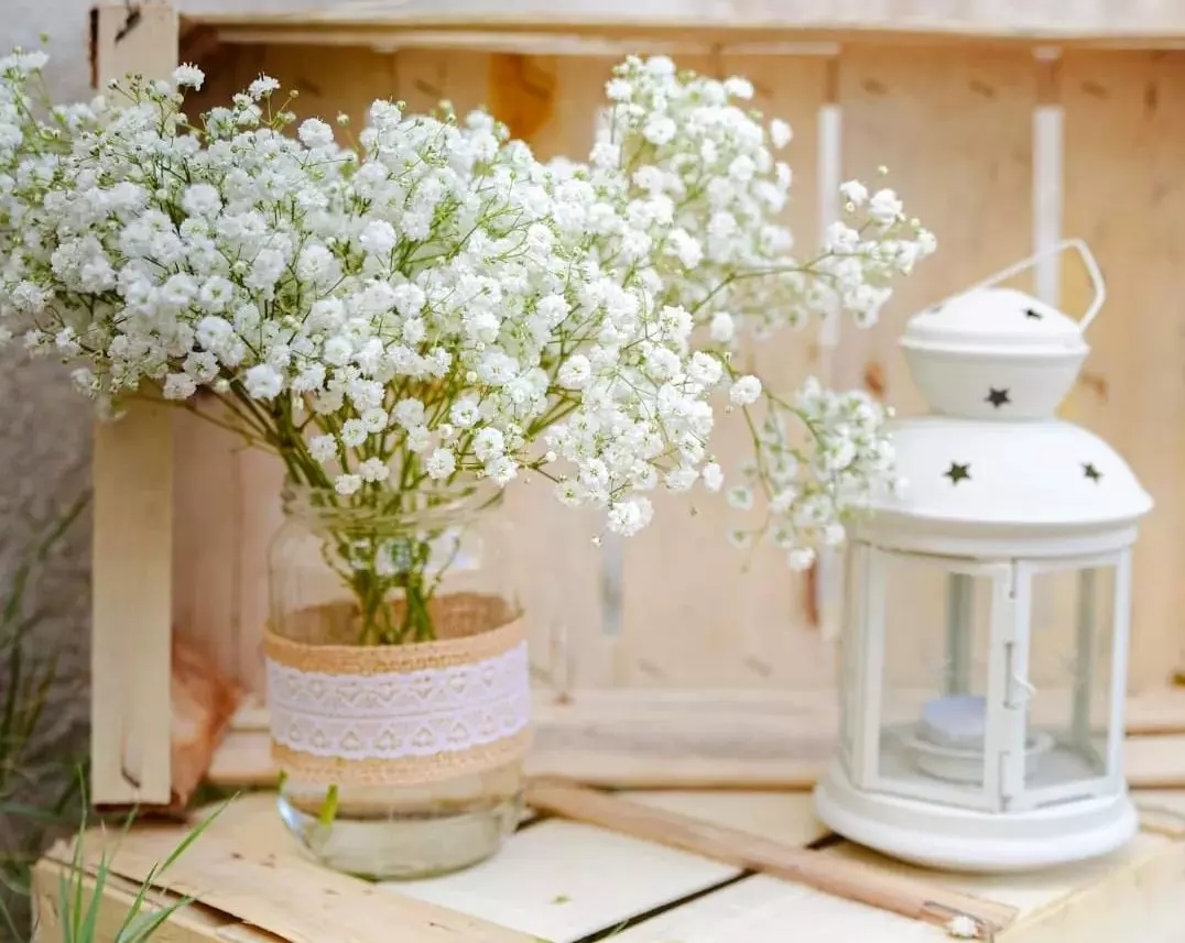 Cvjetni aranžmani Blato Korčula