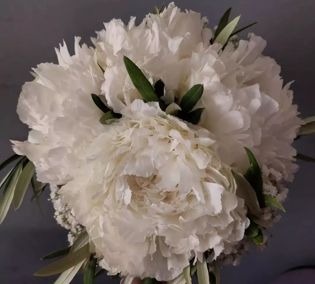 Cvjetni aranžmani Blato otok Korčula