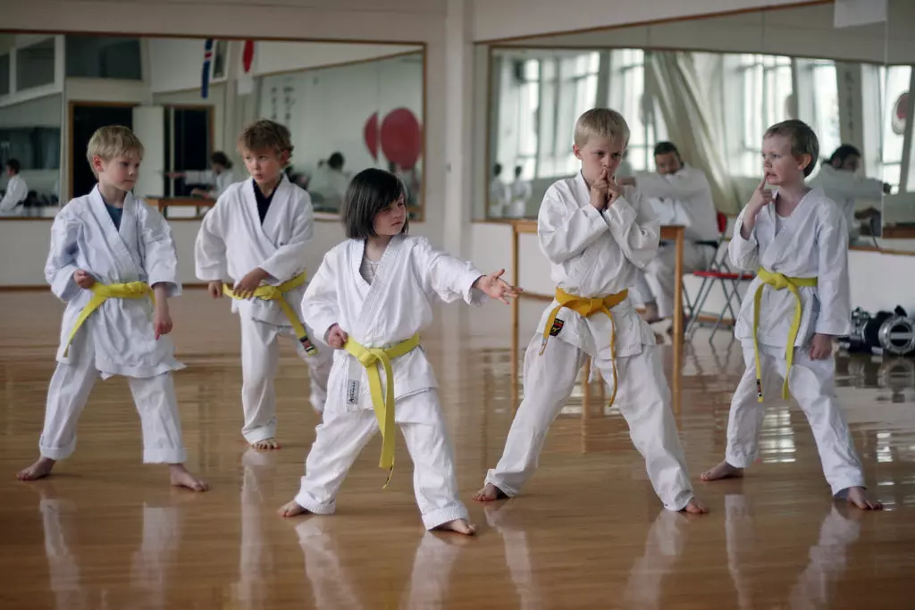 Karate,karate_za_djecu,rekreativni_karate,Split2