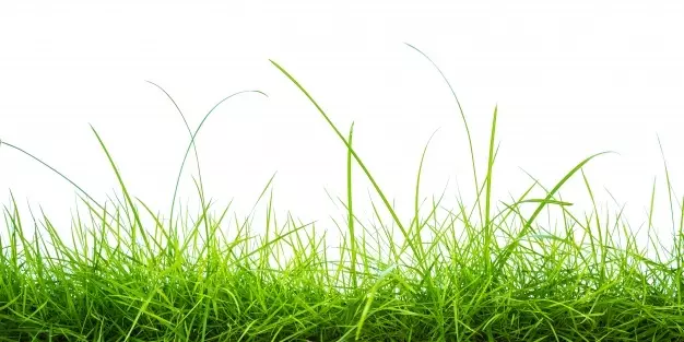 KošnjatraveizimskaslužbaPrimorsko-goranskažupanija3