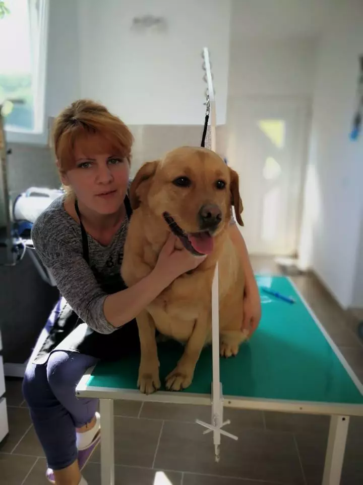 Kompletna_usluga_za_sve_pse