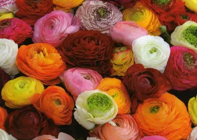 Kompletnepogrebneuslugeiprijevozpokojnikauzemljiiinozemstvu,Rijeka2