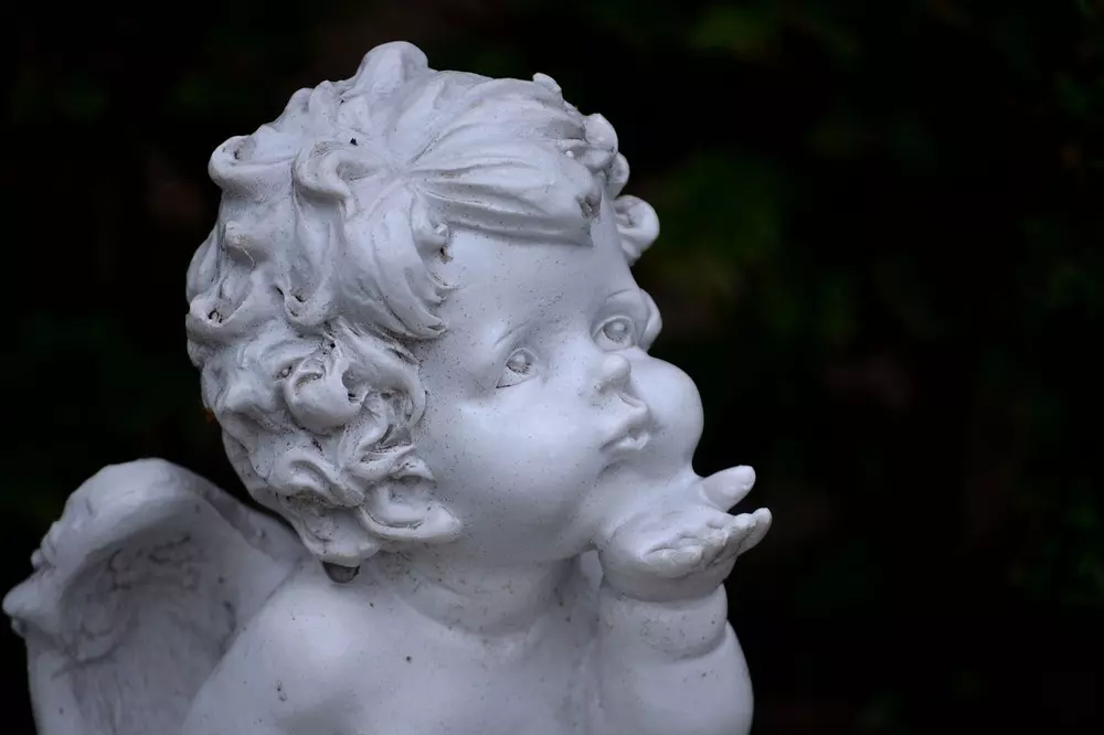 Kompletniklesarskiradovi