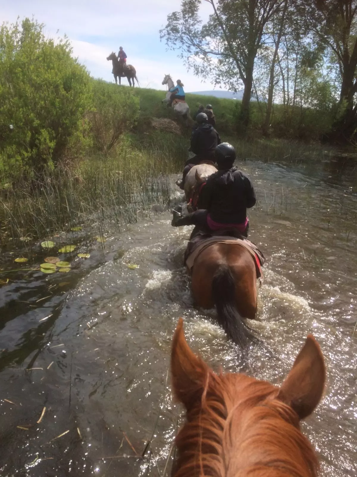 Konjičkiklubirekreativnojahanjeteškolajahanja,Split,Splitsko-dalmatinskažupanija3