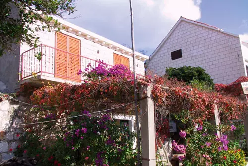 Konobaitradicionalnajela,apartmani,Mljet,Hrvatska