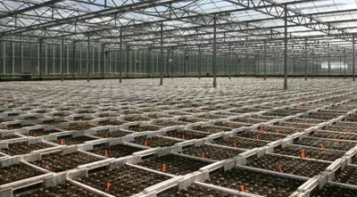 Konzaltingitrgovina,Zagreb