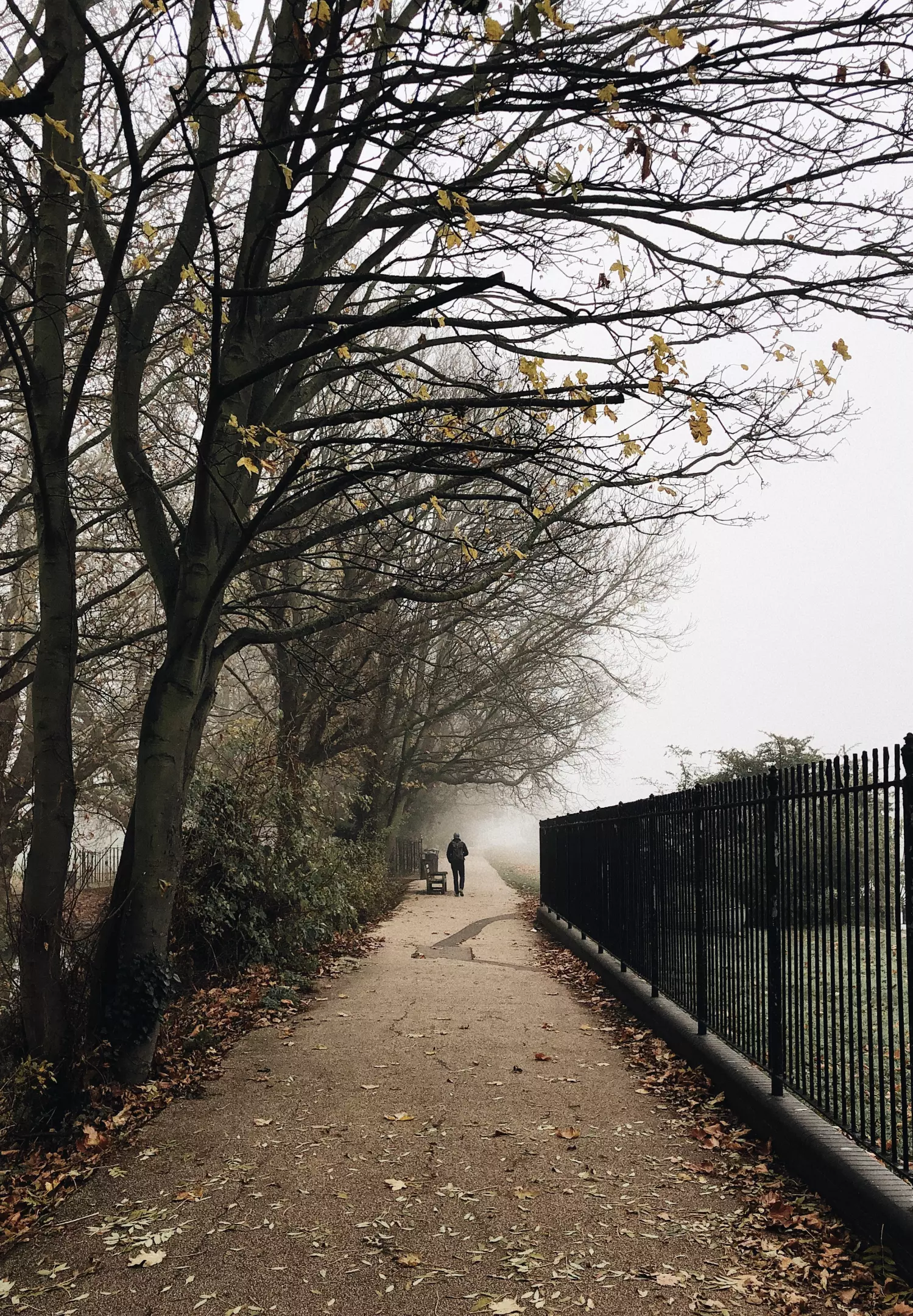 Kovana ograda, kovana galanterija Kovane ograde, kovana galanterija, Poreč, Istra