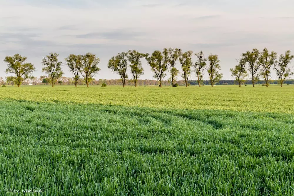 Krčenje terena Karlovac