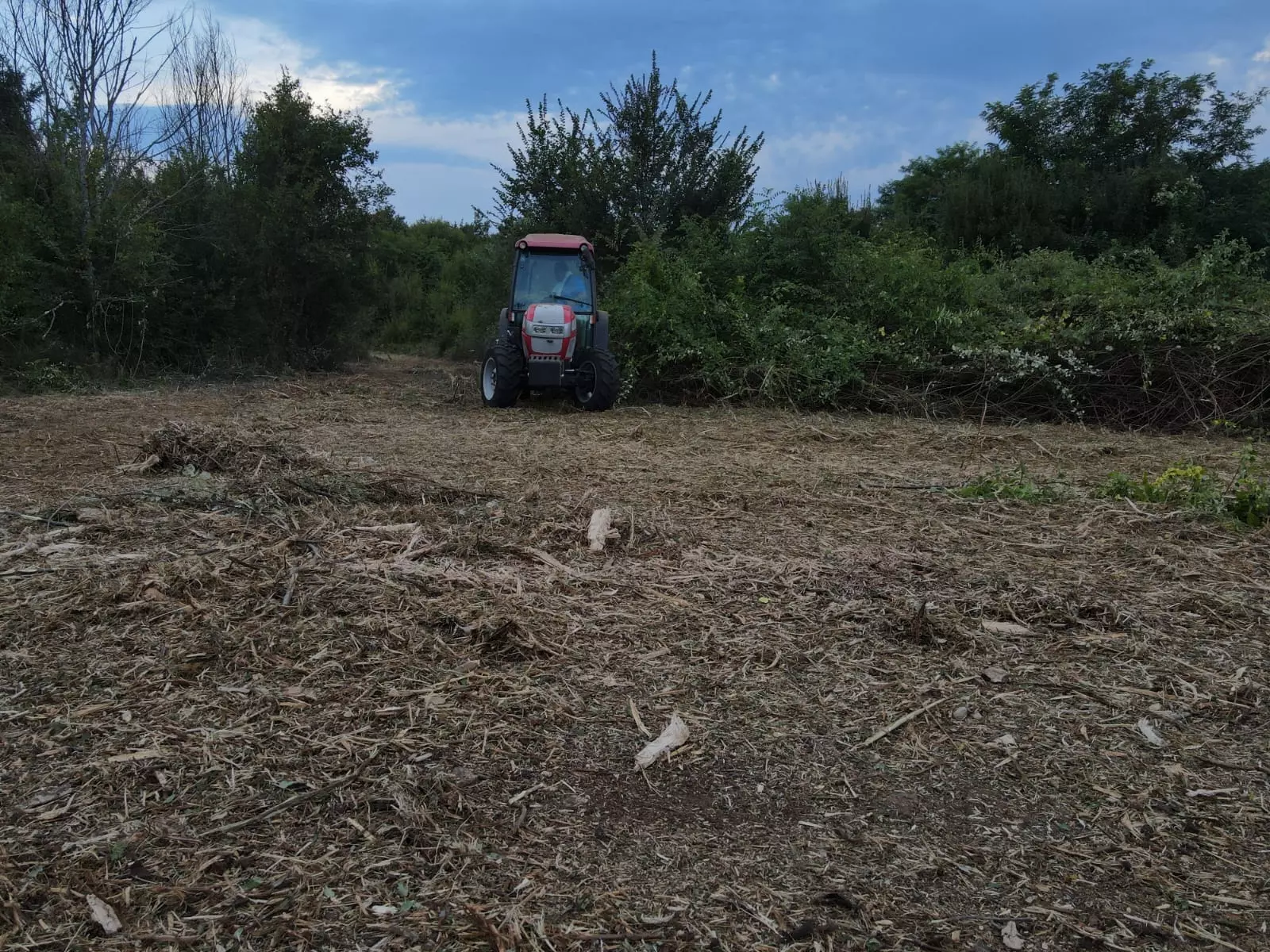 Malčiranje i održavanje Malčiranje u Istri