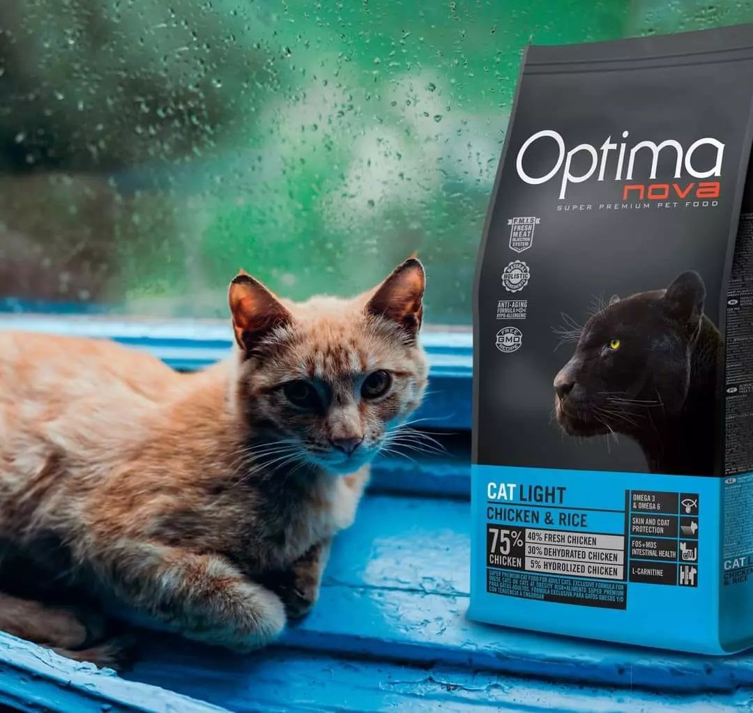 KrevetićizakućneljubimceSv KrevetićizakućneljubimceSv