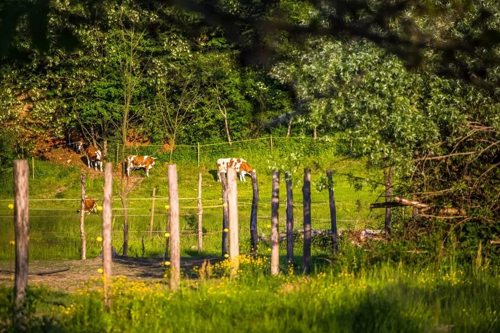 LEADER program održivog ruralnog razvoja LEADER program održivog ruralnog razvoja Međimurje, Hrvatska