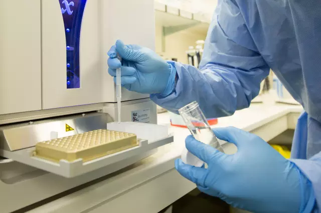 Laboratorijska analiza krvi i mokraće Osijek, Hrvatska