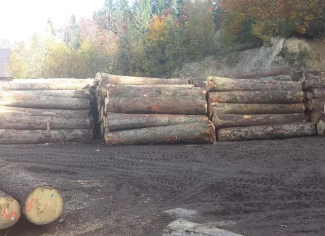 Letveraznihpromjera,Primorskogoranskažupanija,Hrvatska