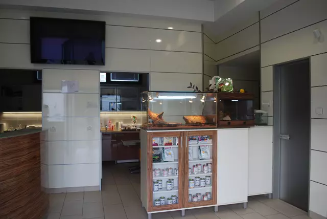 Lijecenje_pregledi_pasa_i_macaka_zagreb3 Lijecenje_pregledi_pasa_i_macaka_zagreb3