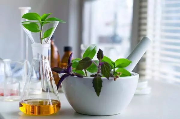 Ljekarna,Pula,Istra2