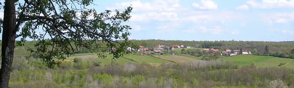 LokalnasamoupravaijavnotijeloPisarovina,Zagrebačkažupanija LokalnasamoupravaijavnotijeloPisarovina,Zagrebačkažupanija