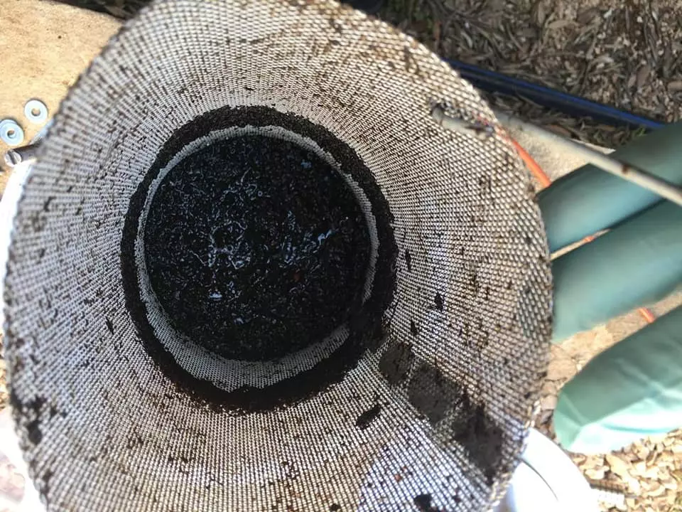 MAJVALDYACHTSERVICE1