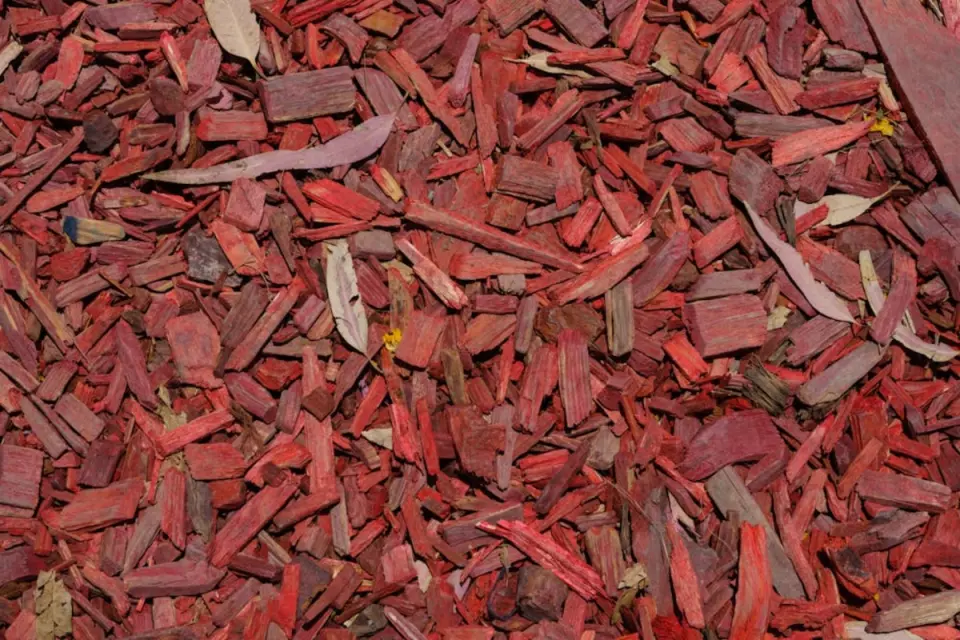 Malčiranje i čišćenje parcela Malčiranje i čišćenje parcela Grožnjan