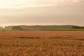 MalčiranjeSisakHrvatska12