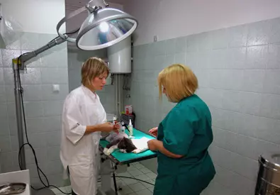 Maleživotinje,kućniljubimci,Zagreb