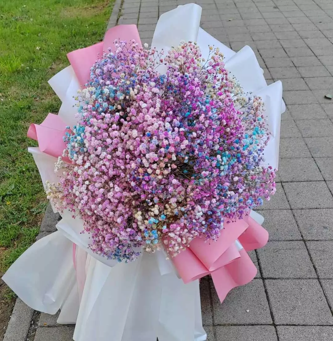 Uređenje okućnica Bjelovar, Hrvatska