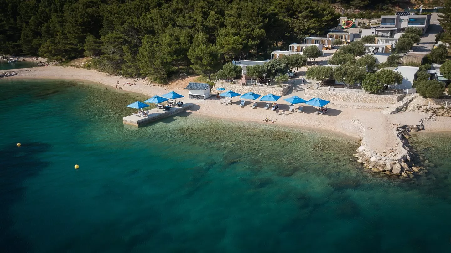 MiloMojepetfriendly MiloMojepetfriendly