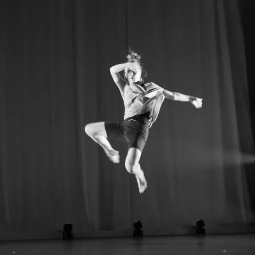 ModerniplesiplesnetehnikeZagreb1