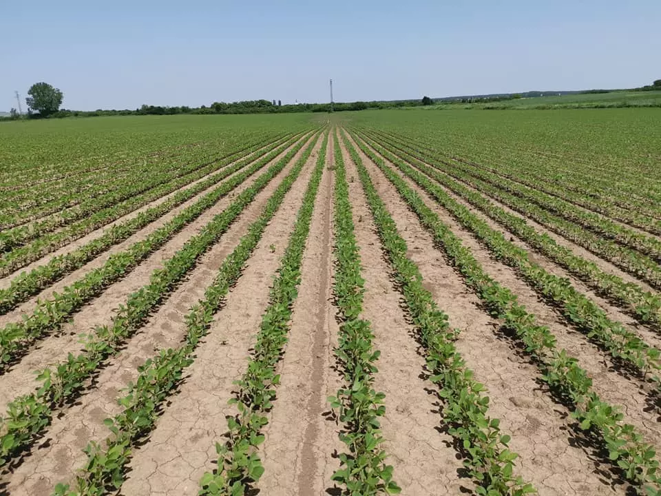 Prodaja poljoprivrednih materijala u Belom Manastiru