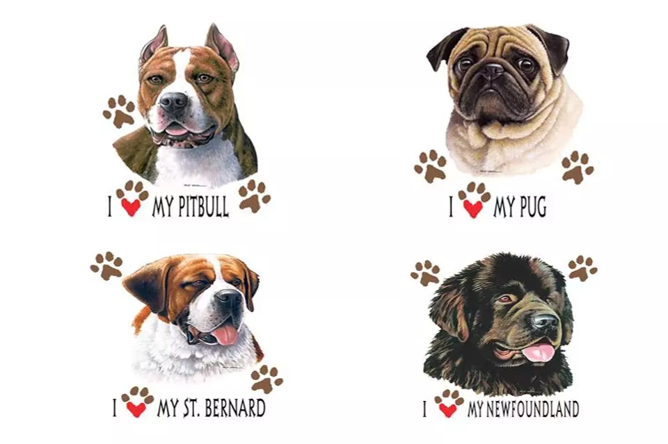 Izrada reklamnih majica Zagreb, RH