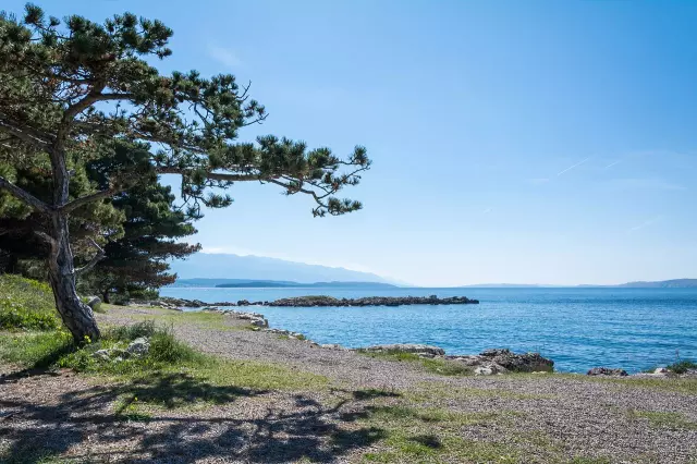 Najamsoba,Rab3 Najamsoba,Rab3