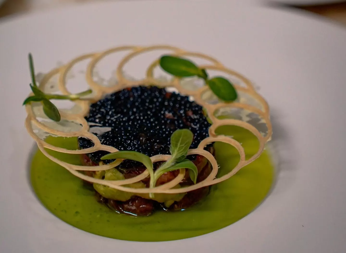 Najbolji riblji restoran Zadar