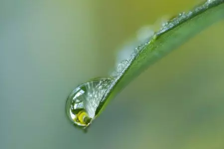 Prodaja vodotopivih gnojiva Vodotopiva gnojiva za prihranu, Dragošička, Zagrebačka županija