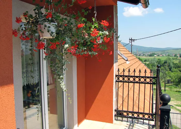 Dom za starije i nemoćne osobe, skrb i njega Dom za starije i nemoćne osobe u Plaški Hrvatska