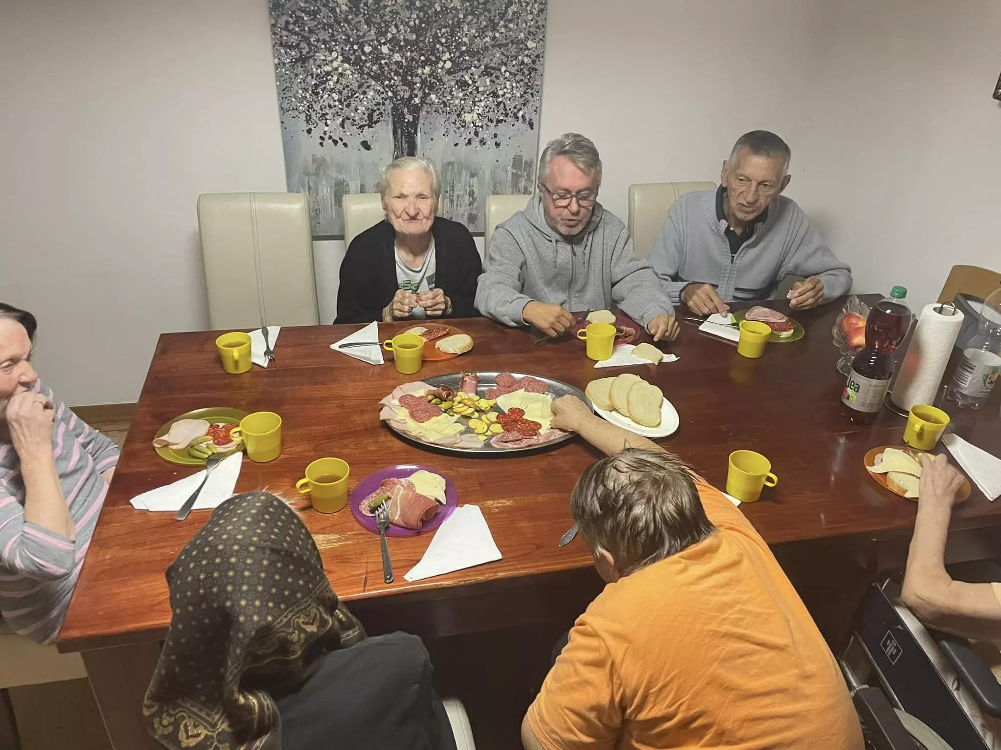 Dom za starije i nemoćne u Karlovcu, RH