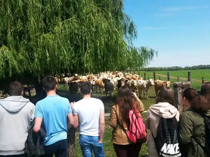 Obrazovanje_odraslih,učenička_zadruga,poljoprivredna_škola,šumarska_škola,obrazovanje_djece_s_posebnim_potrebama2 Obrazovanje_odraslih,učenička_zadruga,poljoprivredna_škola,šumarska_škola,obrazovanje_djece_s_posebnim_potrebama2