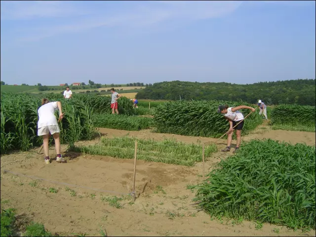 Obrazovanjestručnjakaizpodručjapoljoprivrede,Križevci