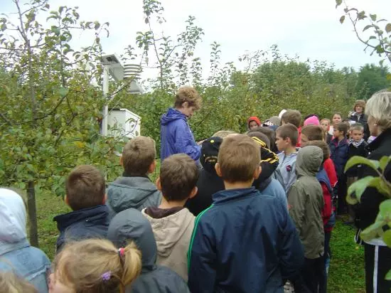 Odgojiobrazovanjedjecedo8