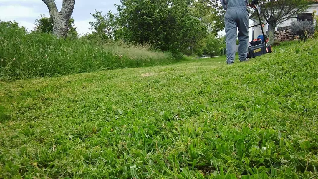 OdržavanjeokućnicaiokolišaPoreč1